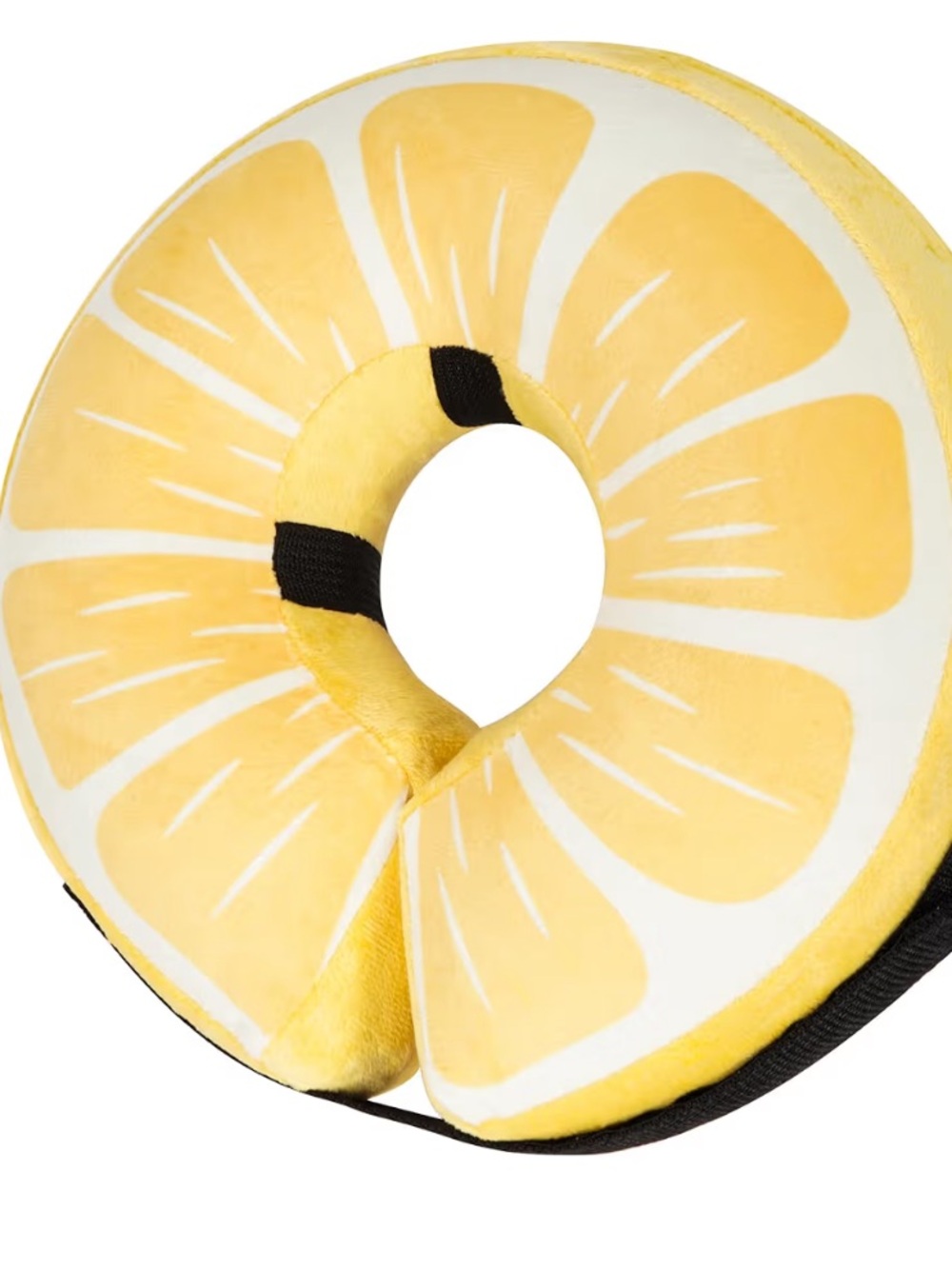 Lemon Slice Dog Recovery Collar